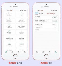 抖音/快手/视频号等短视频平台终极搬运技巧，皮皮剪辑APP，短视频去水印+一键去重搬运工具
