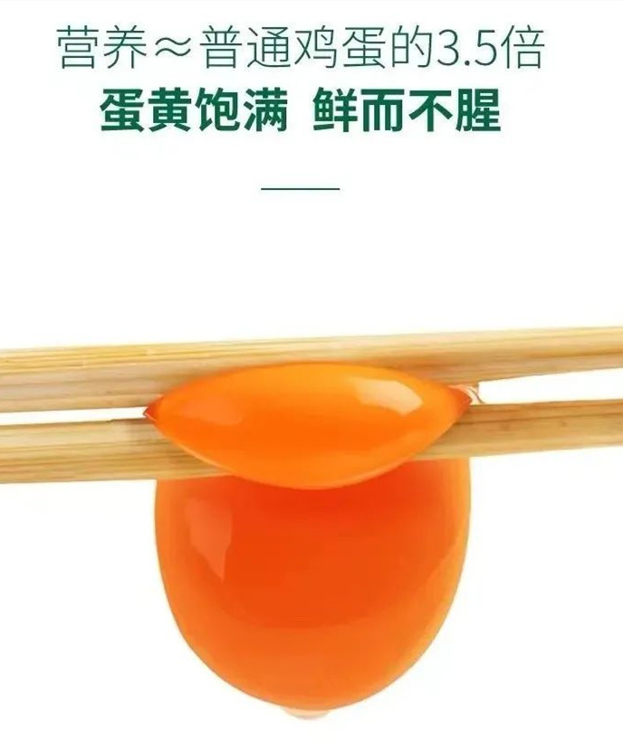 微信图片_20220528220059_副本.jpg 微信图片_20220528220059_副本.jpg