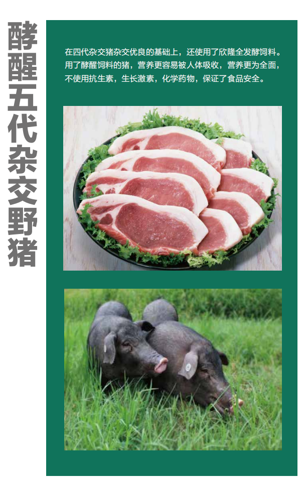 辽宁欣隆农业生态科技发展有限公司产业介绍