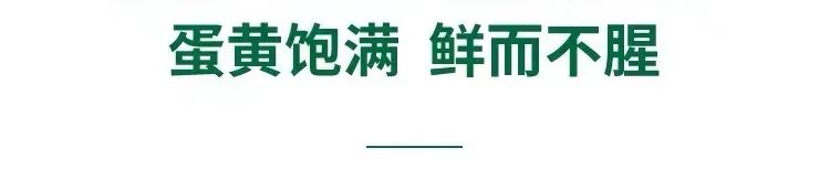 【欣隆酵醒】系列—酵醒蛋介绍