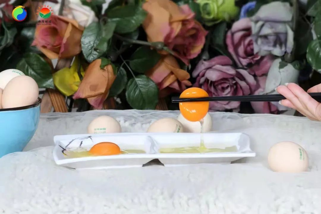 【欣隆酵醒】系列—酵醒蛋介绍