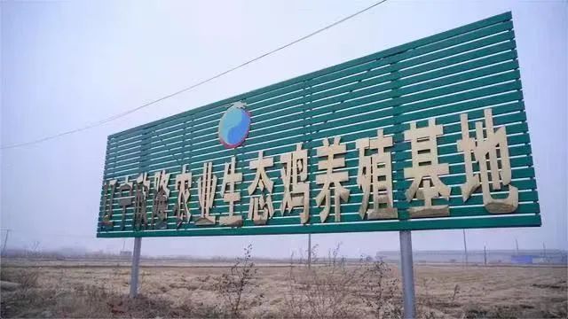 【欣隆酵醒】系列—酵醒蛋介绍
