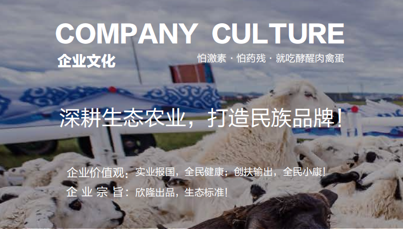 欣隆农业酵醒蛋亮相北京地铁一号线